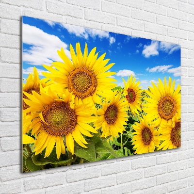 Quadro in verde Girasoli