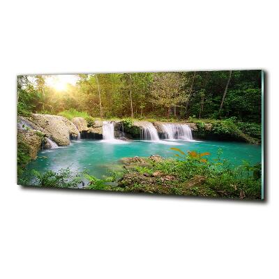 Quadro in vetro Cascata nella foresta