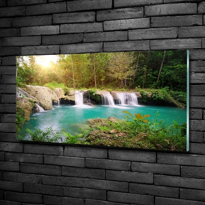 Quadro in vetro Cascata nella foresta