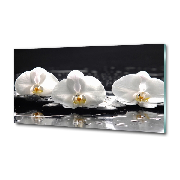 Quadro su vetro Orchidea