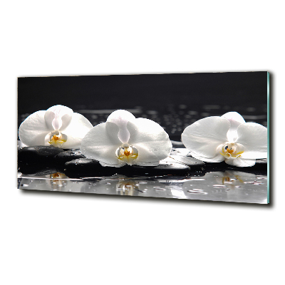 Quadro su vetro Orchidea