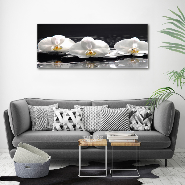 Quadro su vetro Orchidea