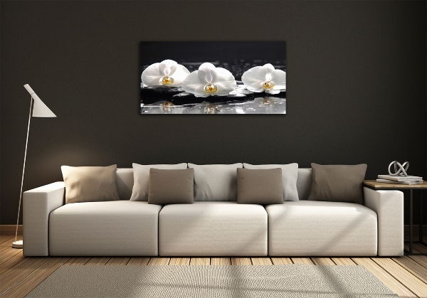 Quadro su vetro Orchidea