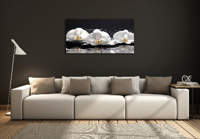 Quadro su vetro Orchidea