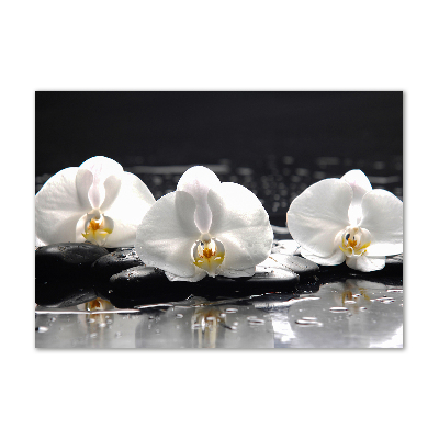 Quadro su vetro Orchidea