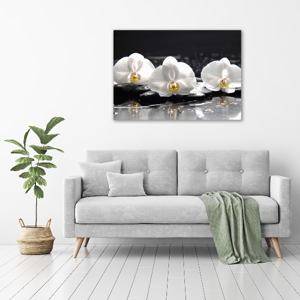 Quadro su vetro Orchidea