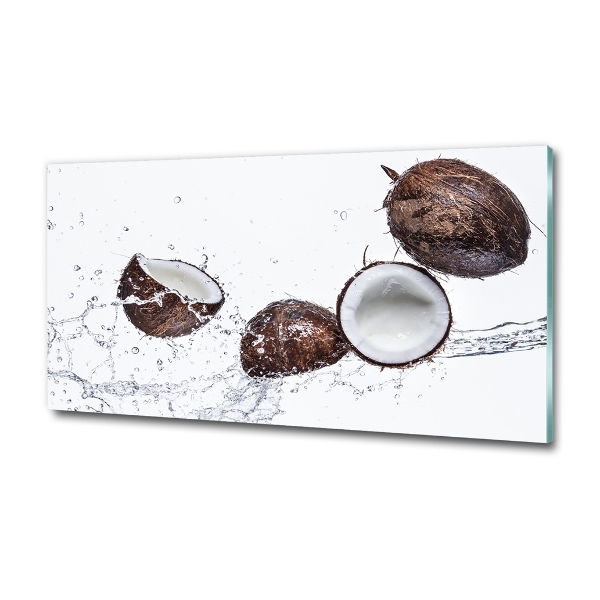 Quadro vetro Cocco con acqua