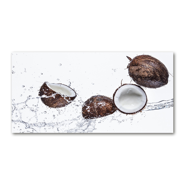Quadro vetro Cocco con acqua