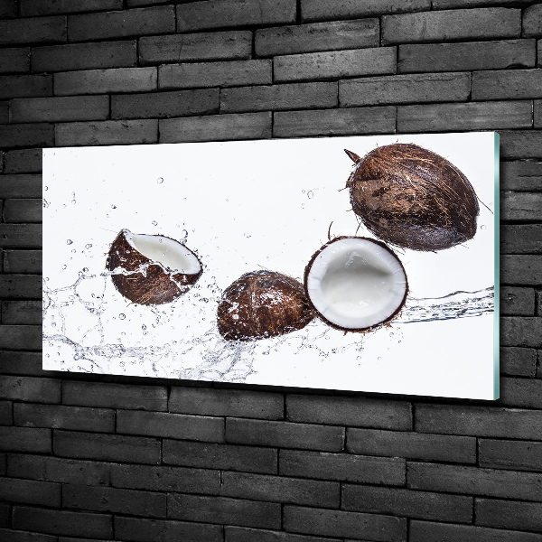 Quadro vetro Cocco con acqua