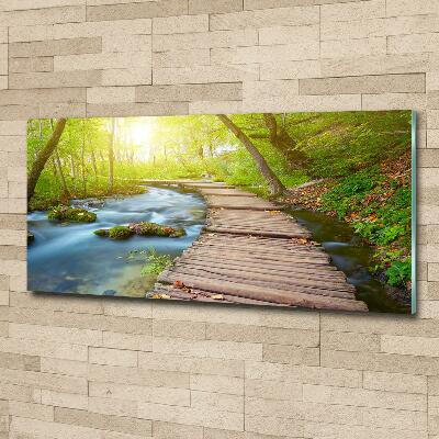 Quadro vetro Sentiero nella foresta