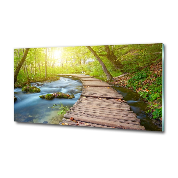 Quadro vetro Sentiero nella foresta