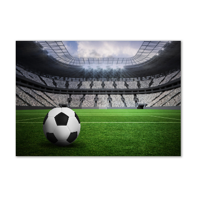 Quadro vetro Palla nello stadio