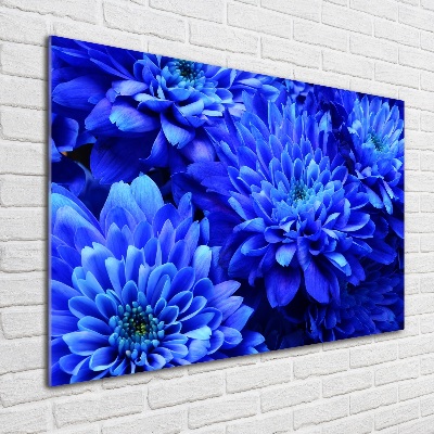 Quadro su vetro Aster blu