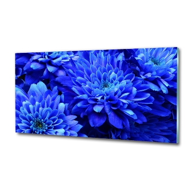 Quadro su vetro Aster blu