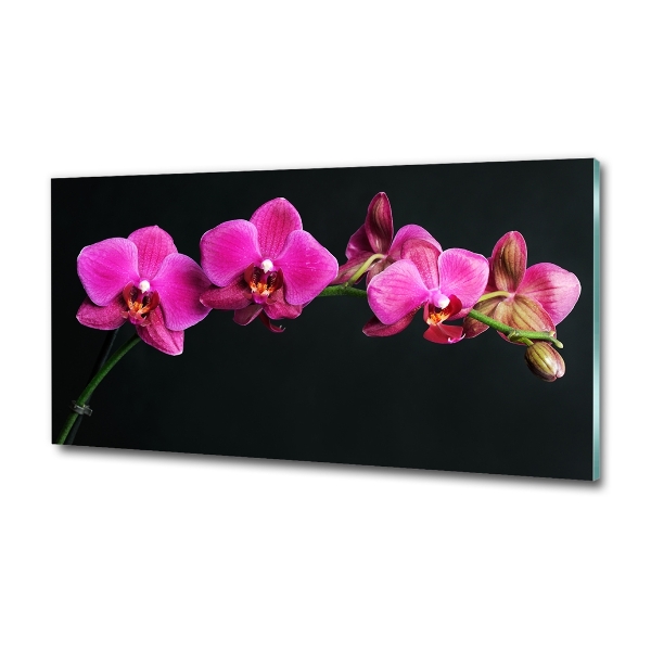 Quadro in verde Orchidea