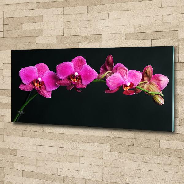 Quadro in verde Orchidea