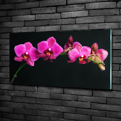 Quadro in verde Orchidea
