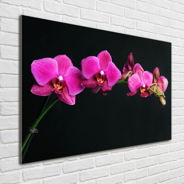 Quadro in verde Orchidea