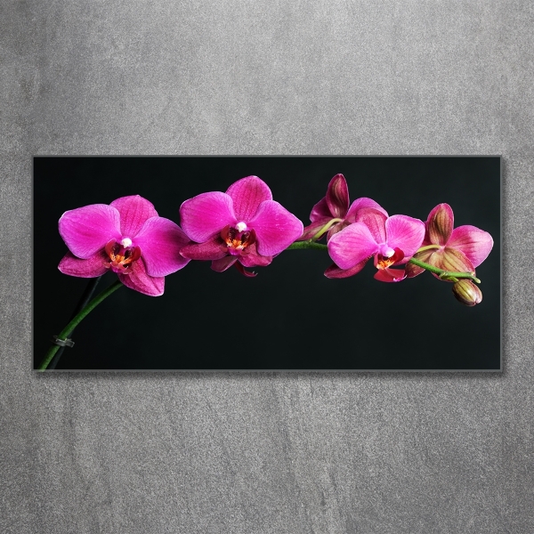 Quadro in verde Orchidea