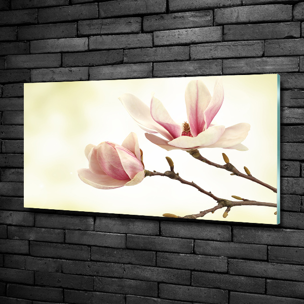 Quadro vetro Magnolia
