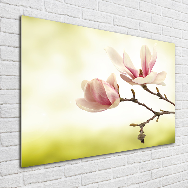 Quadro vetro Magnolia
