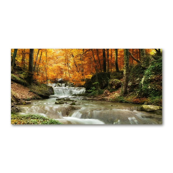 Quadro vetro Cascata nella foresta