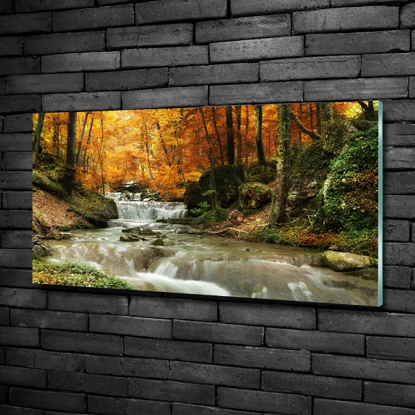 Quadro vetro Cascata nella foresta