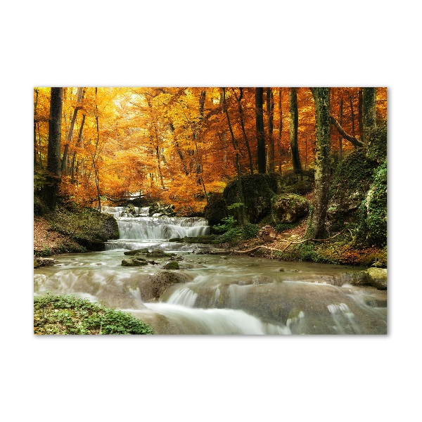 Quadro vetro Cascata nella foresta
