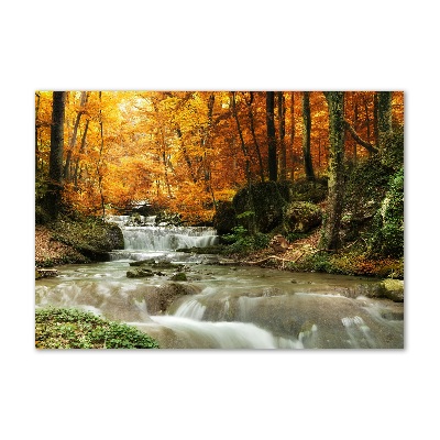 Quadro vetro Cascata nella foresta