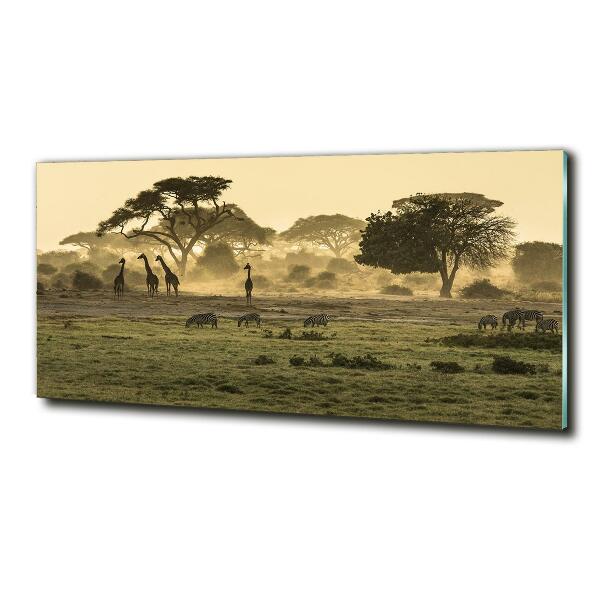 Quadro vetro Giraffe nella savana