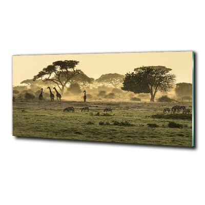 Quadro vetro Giraffe nella savana