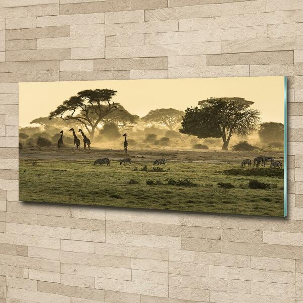 Quadro vetro Giraffe nella savana