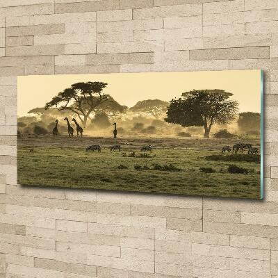 Quadro vetro Giraffe nella savana