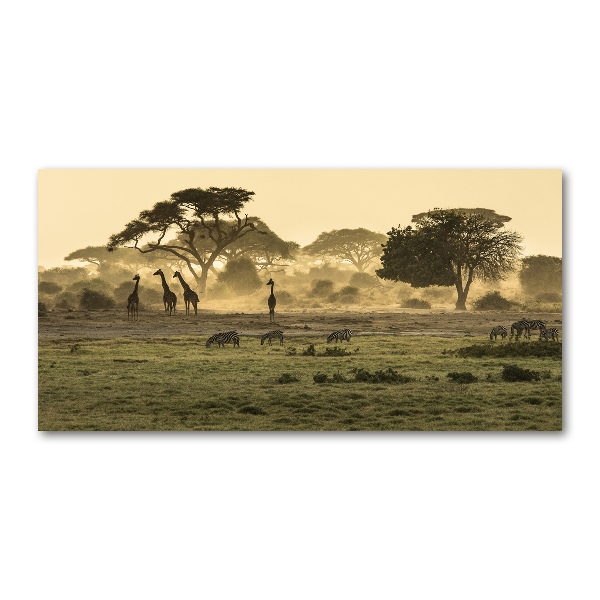 Quadro vetro Giraffe nella savana