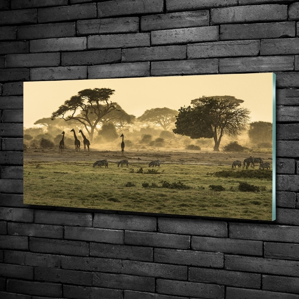 Quadro vetro Giraffe nella savana