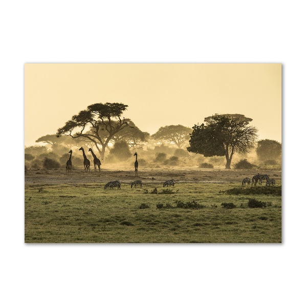 Quadro vetro Giraffe nella savana