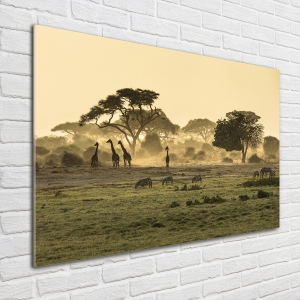 Quadro vetro Giraffe nella savana