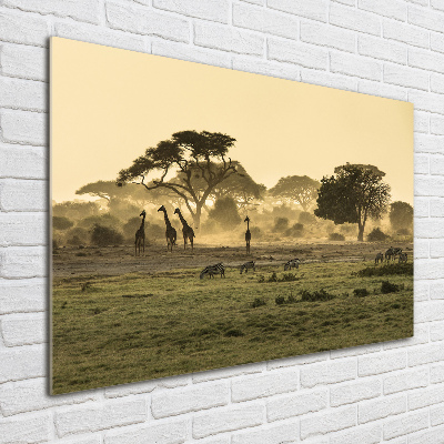 Quadro vetro Giraffe nella savana