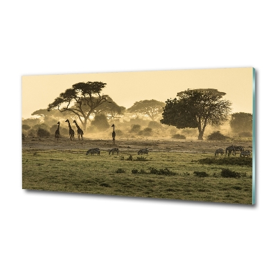 Quadro vetro Giraffe nella savana