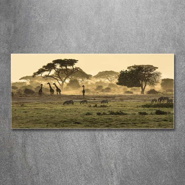 Quadro vetro Giraffe nella savana