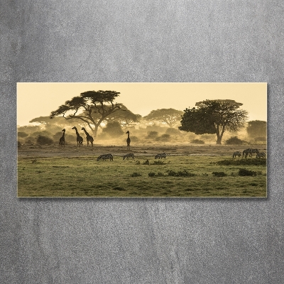 Quadro vetro Giraffe nella savana