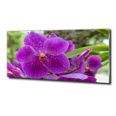 Quadro vetro Orchidea