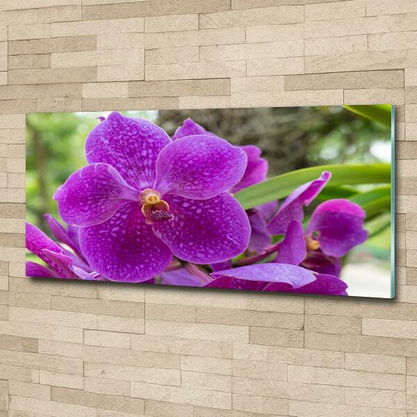 Quadro vetro Orchidea