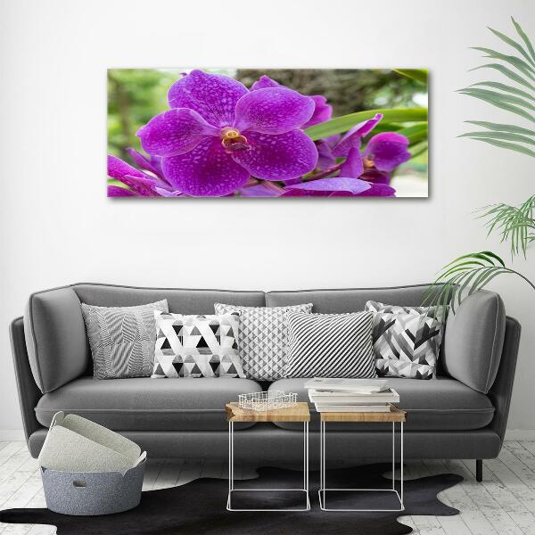 Quadro vetro Orchidea