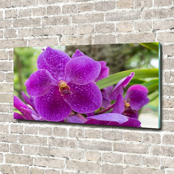 Quadro vetro Orchidea