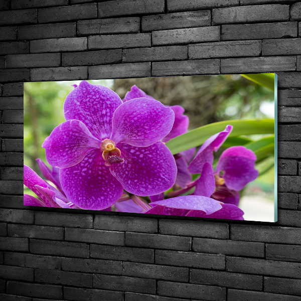 Quadro vetro Orchidea