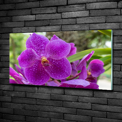 Quadro vetro Orchidea