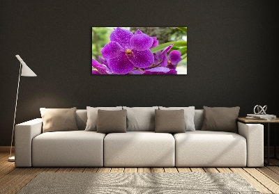 Quadro vetro Orchidea