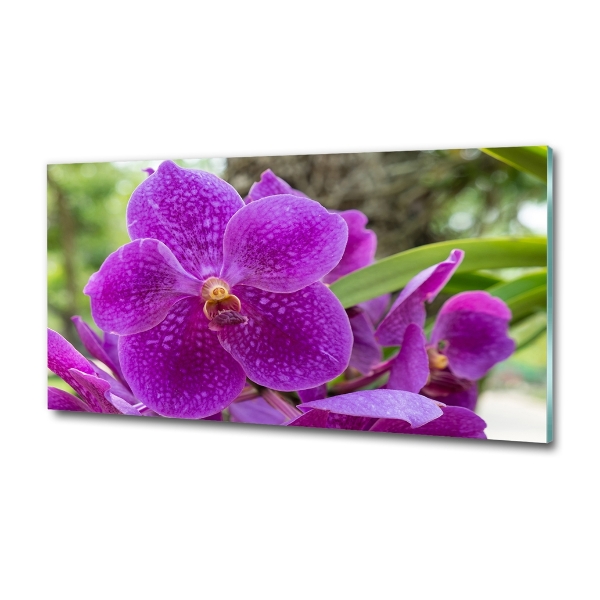 Quadro vetro Orchidea