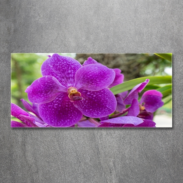 Quadro vetro Orchidea